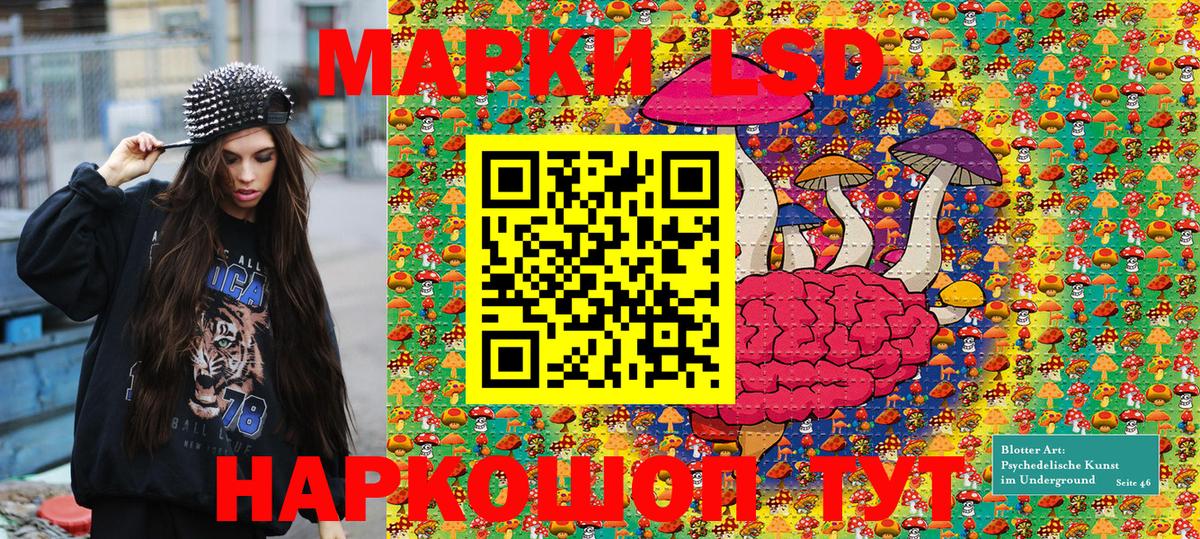 Марки N-bome 1,8мг  Вход с VPN  Лесной 