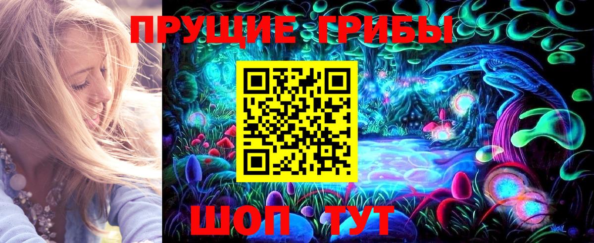Лесной  Псилоцибиновые грибы прущие грибы  Вход с VPN  Галлюциногенные грибы ЛСД 