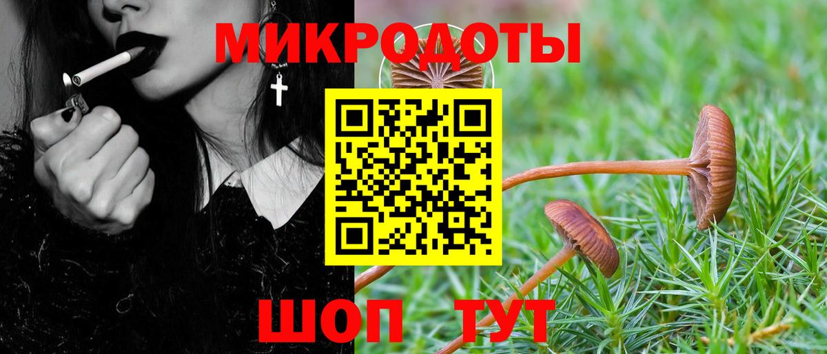 Псилоцибиновые грибы Psilocybine cubensis Лесной